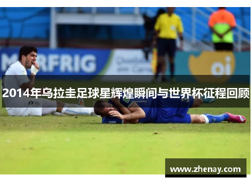 2014年乌拉圭足球星辉煌瞬间与世界杯征程回顾